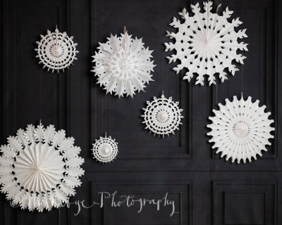 christmas mini session 2021 backdrop